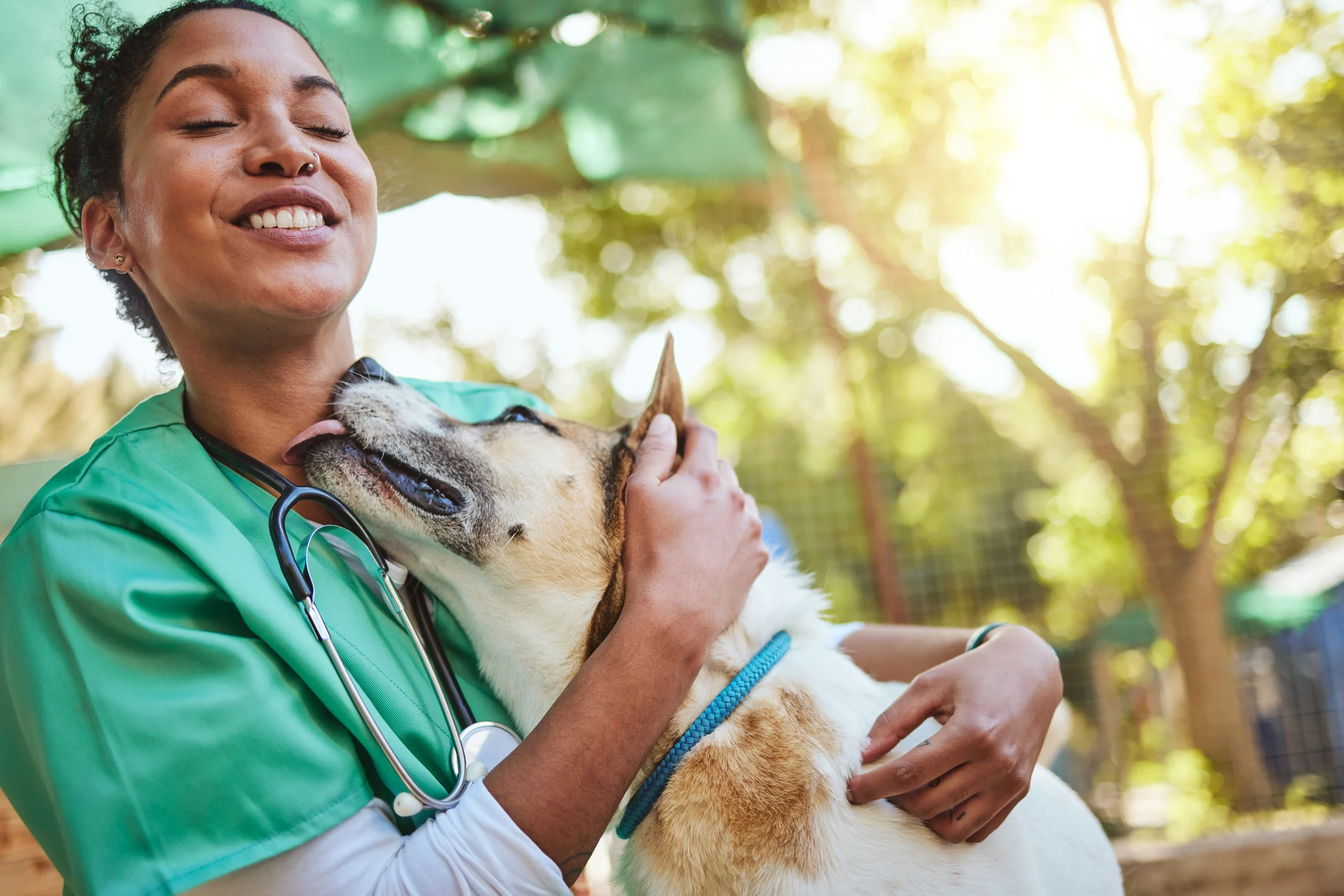 Veterinariana-1.webp