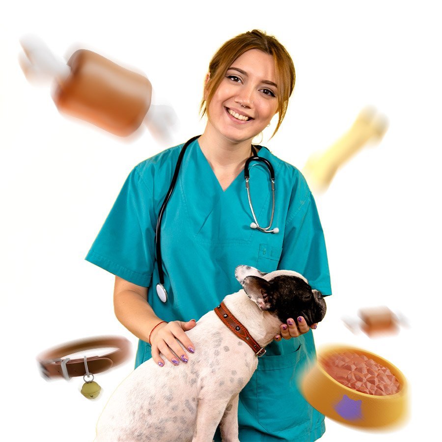 Veterinariana-3.jpg