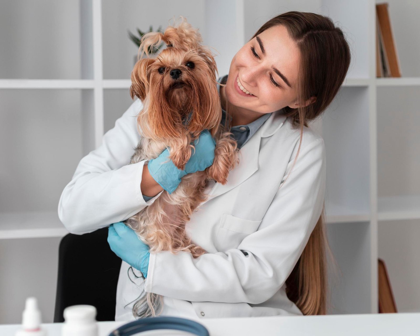 Veterinariana-4.jpg