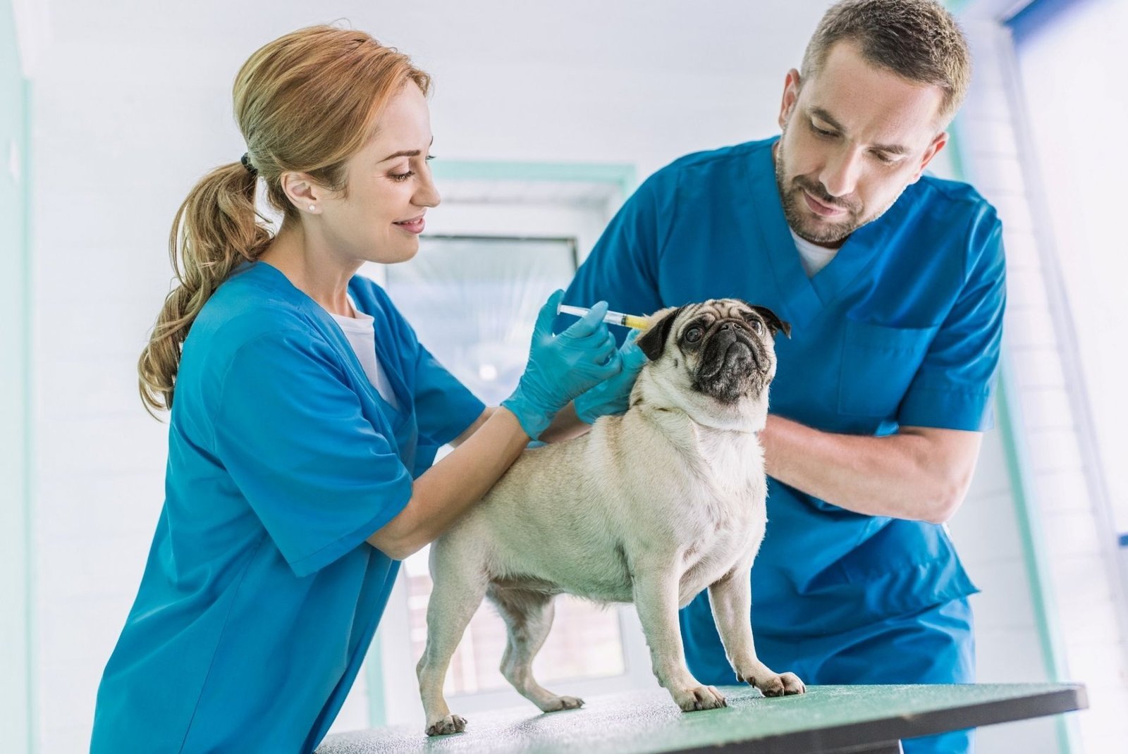 veterinario-1.jpg