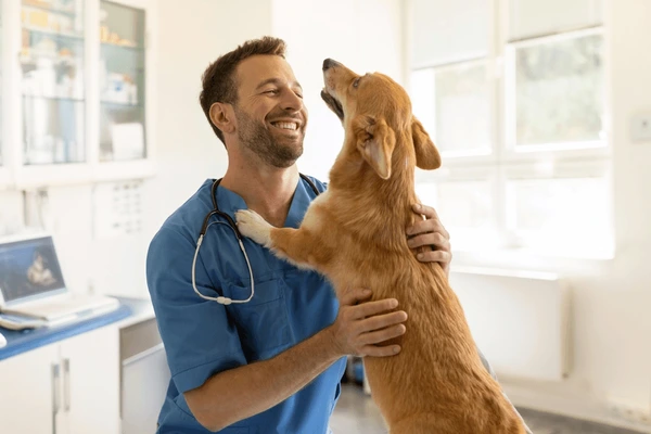 veterinario-4.webp